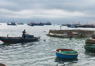 Lý Sơn: Dân đổ xô sắm bè ra biển lấy cát trồng tỏi, hành